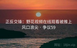 正反交锋：野花视频在线观看被推上风口浪尖 · 争议59