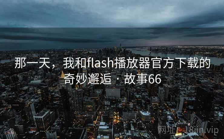 那一天，我和flash播放器官方下载的奇妙邂逅 · 故事66